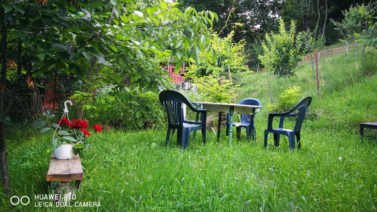 Appartement Apartament Hunter à Cluj-Napoca Extérieur photo