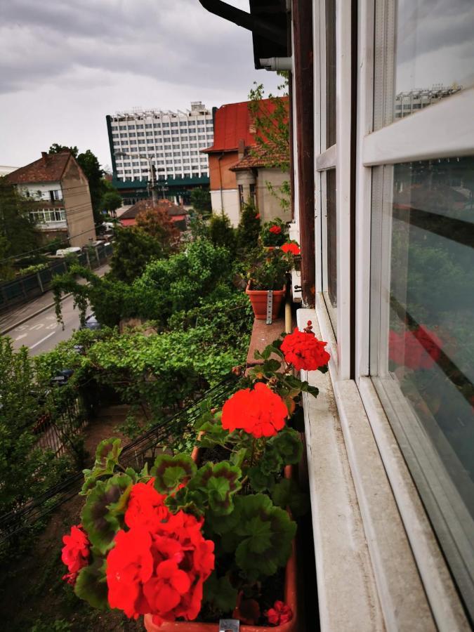 Appartement Apartament Hunter à Cluj-Napoca Extérieur photo